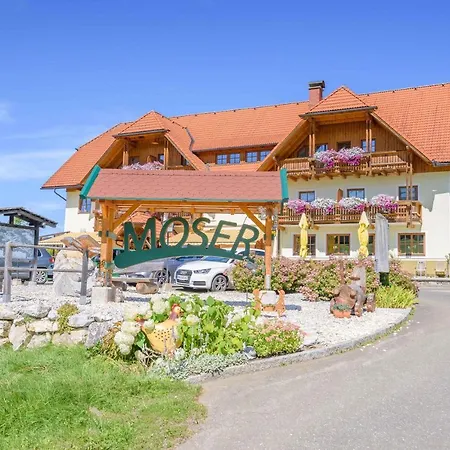 莫泽艾尔彭盖瑟宾馆 宾馆 2*