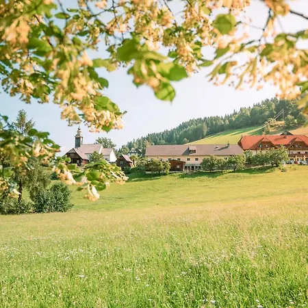 莫泽艾尔彭盖瑟宾馆 Karchau