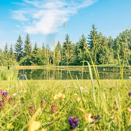 宾馆 莫泽艾尔彭盖瑟宾馆 Karchau