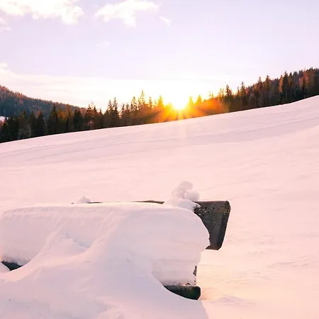 宾馆 莫泽艾尔彭盖瑟宾馆 2*