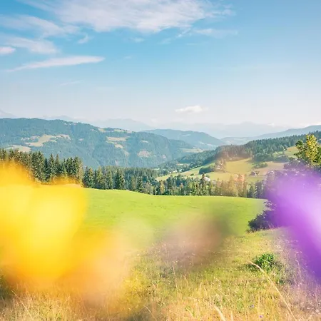 宾馆 莫泽艾尔彭盖瑟宾馆 2*