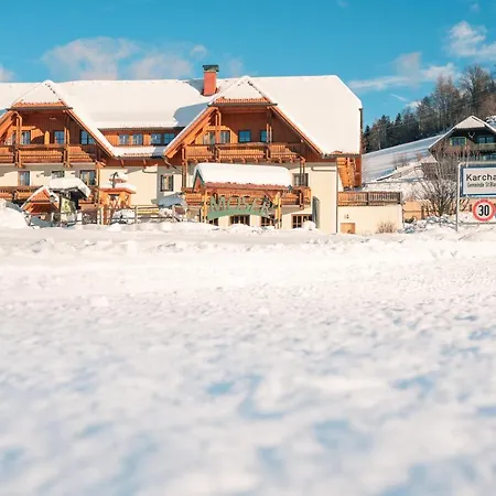 莫泽艾尔彭盖瑟宾馆