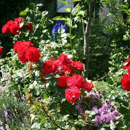 Alpengasthof Moser بيت ريفي