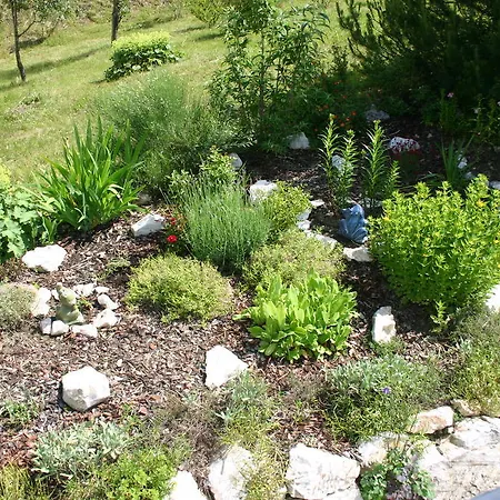 莫泽艾尔彭盖瑟宾馆 2*