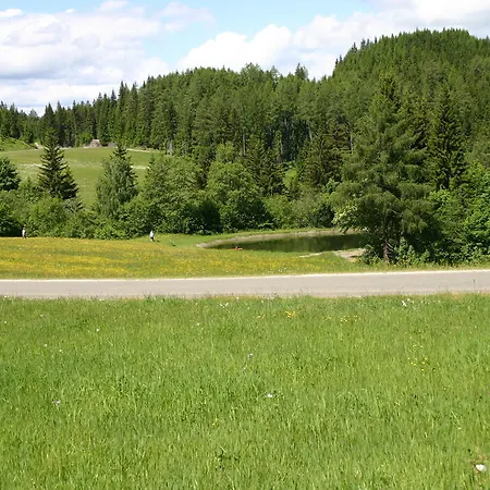 宾馆 莫泽艾尔彭盖瑟宾馆