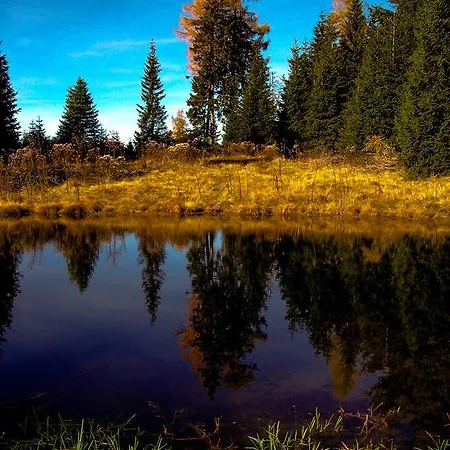 Alpengasthof Moser 2*