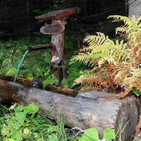 宾馆 莫泽艾尔彭盖瑟宾馆 Karchau