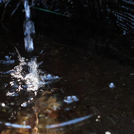بيت ريفي Alpengasthof Moser