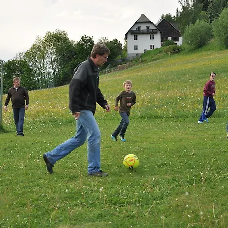 Alpengasthof Moser Inn Karchau
