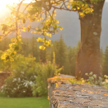 莫泽艾尔彭盖瑟宾馆 2*