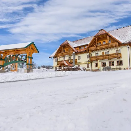 莫泽艾尔彭盖瑟宾馆 2*