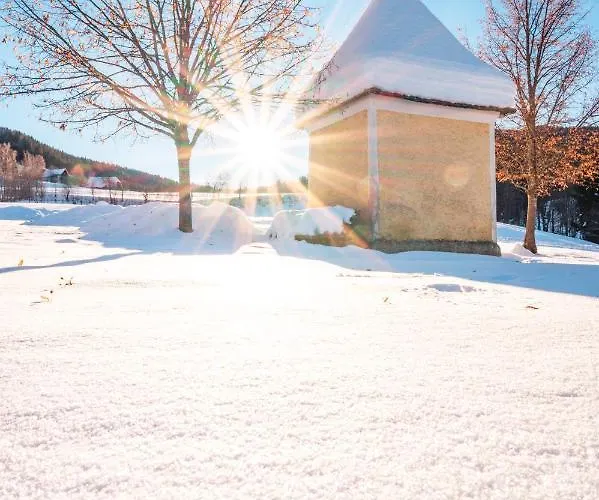 Alpengasthof Moser 2*