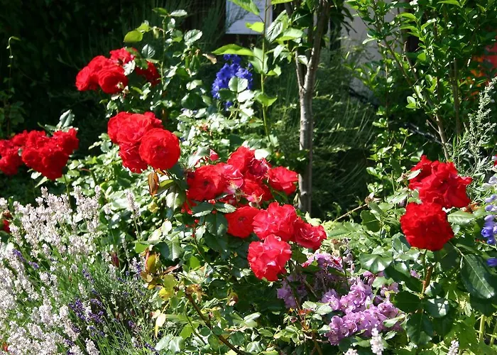 Alpengasthof Moser Estalagem