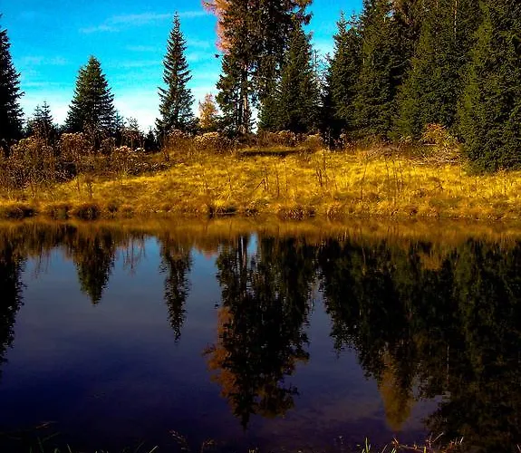 Alpengasthof Moser 2*