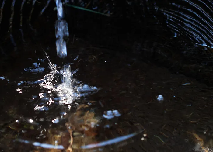 بيت ريفي Alpengasthof Moser